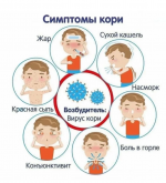 Коренная проблема кори.