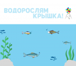 В регионе начался новый сезон проекта «Водорослям крышка!» экоцентра «Экологизатор».