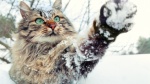 Прогноз погоды на 21 февраля.