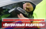 В выходные дни дорожные полицейские проведут оперативно-профилактическое мероприятие «Нетрезвый водитель». В рамках этого мероприятия пройдут массовые проверки водителей на выявление признаков опьянения.