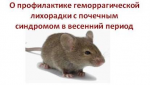 О профилактике геморрагической лихорадки с почечным синдромом в весенний период!. О профилактике геморрагической лихорадки с почечным синдромом в весенний период!.